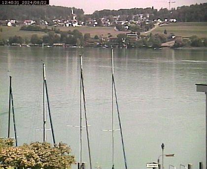 Beinwil am See: Hallwilersee Ost 1