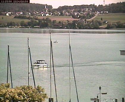 Beinwil am See: Hallwilersee Ost 1