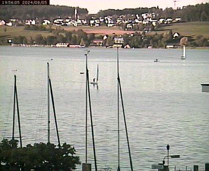 Beinwil am See: Hallwilersee Ost 1