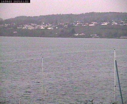 Beinwil am See: Hallwilersee Ost 1