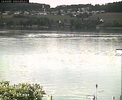 Beinwil am See: Hallwilersee Ost 1