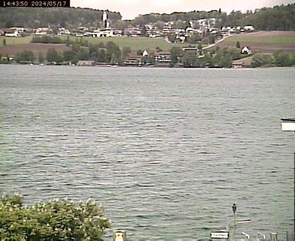 Beinwil am See: Hallwilersee Ost 1