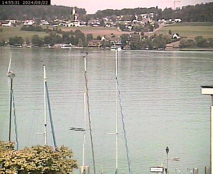 Beinwil am See: Hallwilersee Ost 1