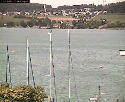 Beinwil am See: Hallwilersee Ost 1