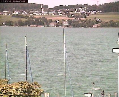 Beinwil am See: Hallwilersee Ost 1