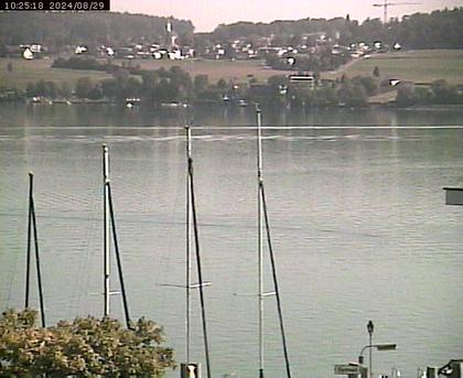 Beinwil am See: Hallwilersee Ost 1