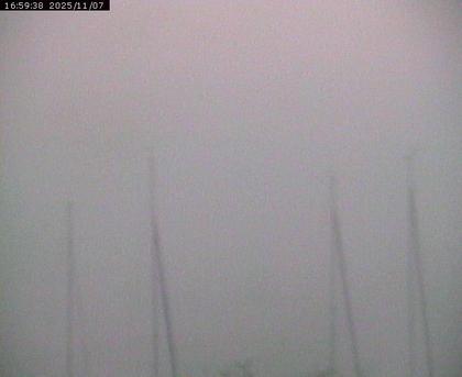 Beinwil am See: Hallwilersee Ost 1