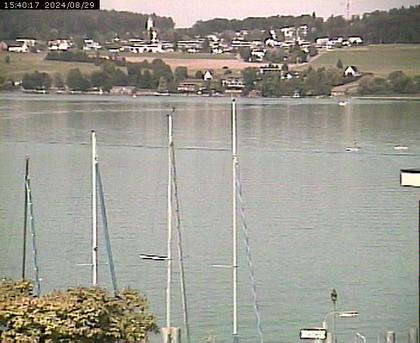 Beinwil am See: Hallwilersee Ost 1