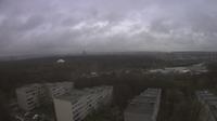 Lazdynai: Vilnius Live