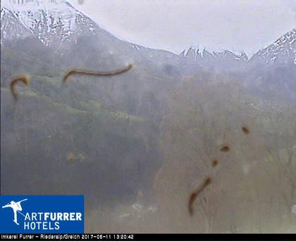 Greich: Aletsch Arena - Imkerei Furrer