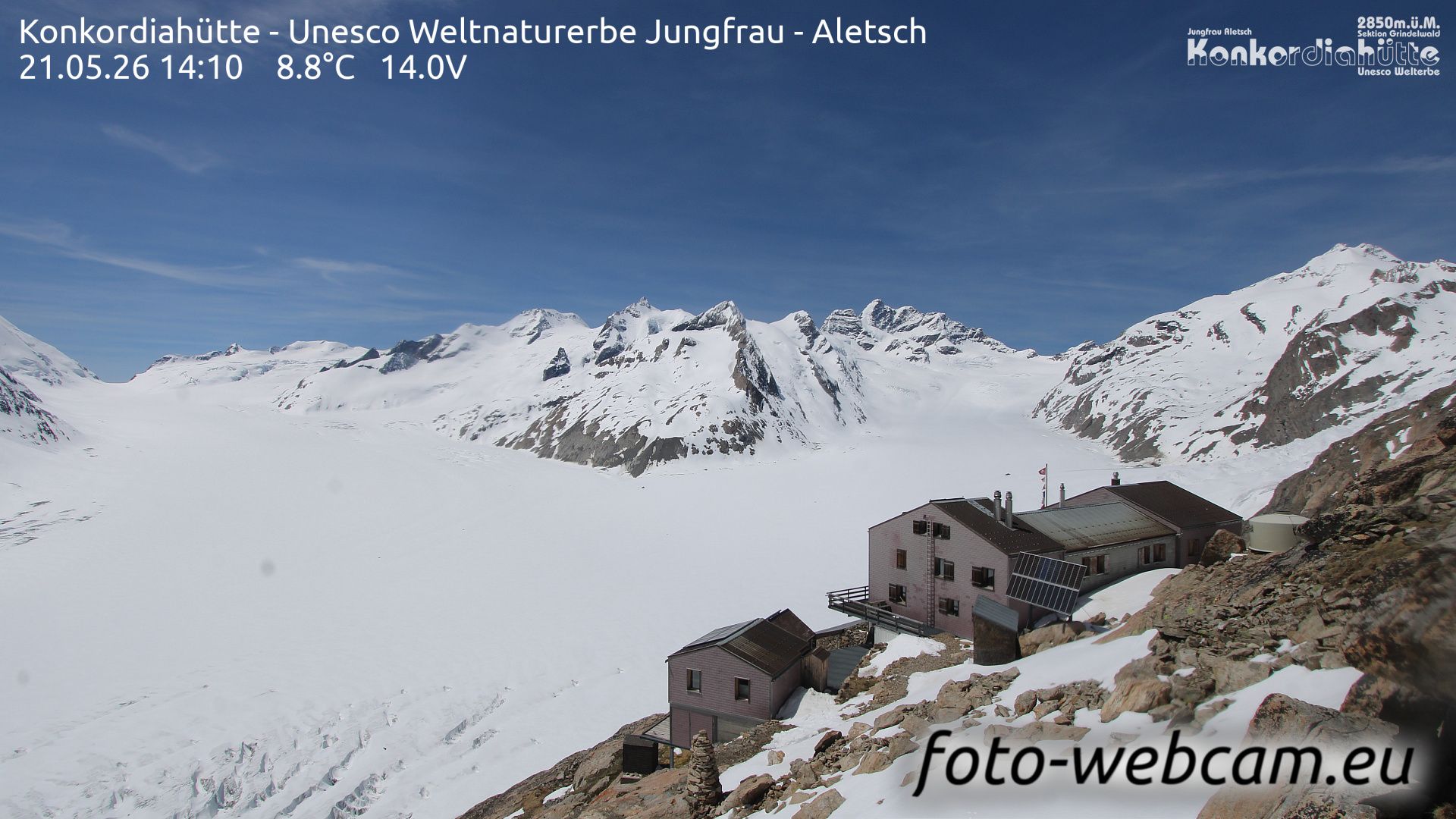 Fieschertal: Konkordiahütte - Trugberg - Gletscherhorn - Jungfraujoch - Hollandiahütte SAC - Ebnefluh - Jungfrau - Jungfrau Region
