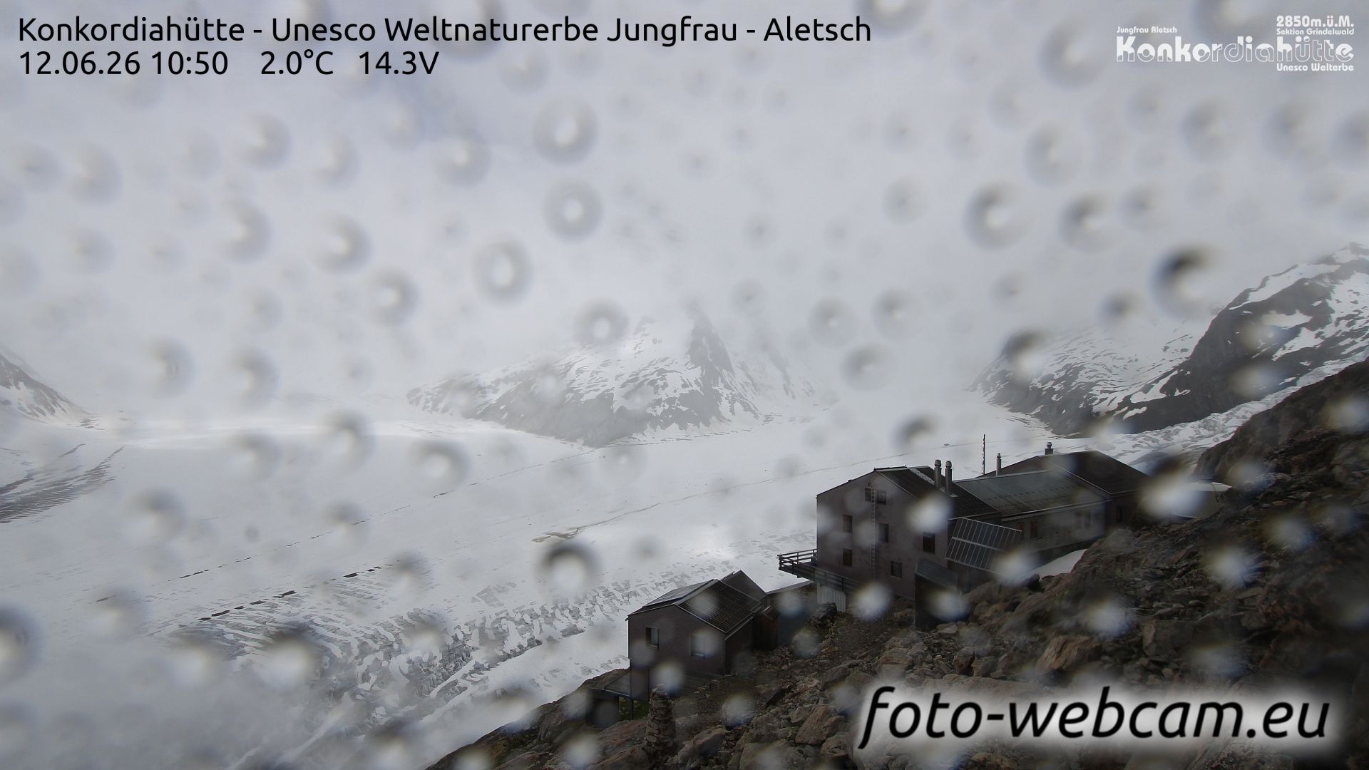Fieschertal: Konkordiahütte - Trugberg - Gletscherhorn - Jungfraujoch - Hollandiahütte SAC - Ebnefluh - Jungfrau - Jungfrau Region