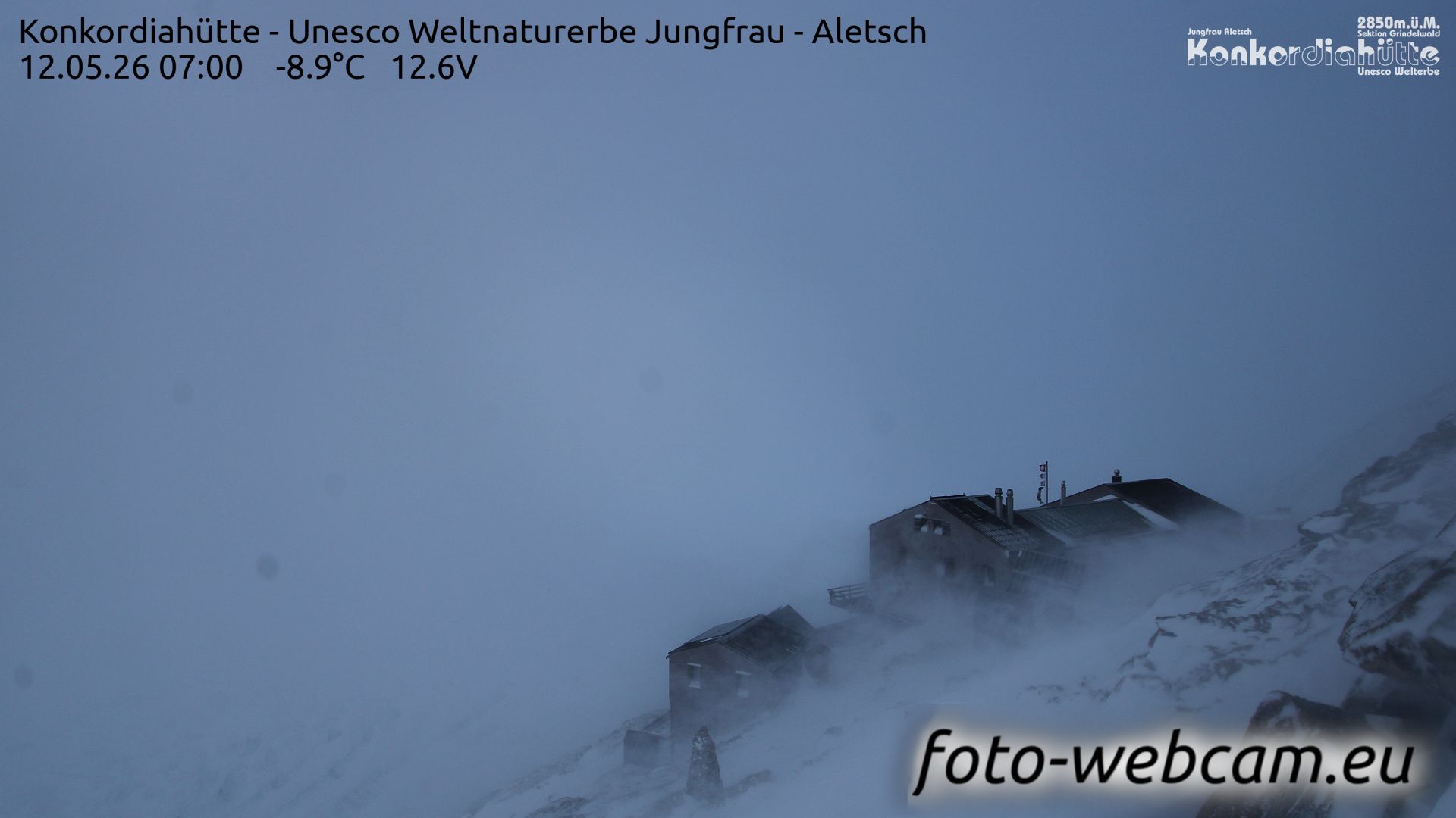 Fieschertal: Konkordiahütte - Trugberg - Gletscherhorn - Jungfraujoch - Hollandiahütte SAC - Ebnefluh - Jungfrau - Jungfrau Region