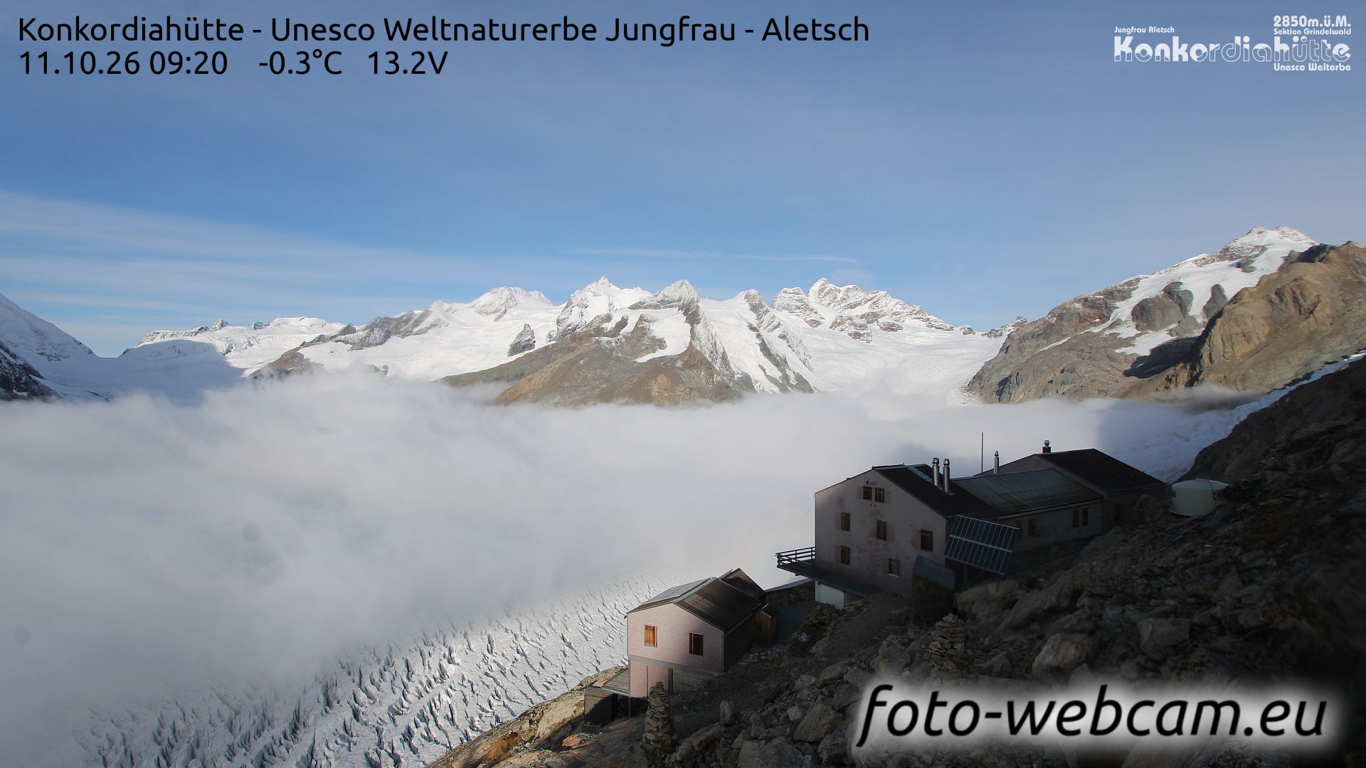 Fieschertal: Konkordiahütte - Trugberg - Gletscherhorn - Jungfraujoch - Hollandiahütte SAC - Ebnefluh - Jungfrau - Jungfrau Region