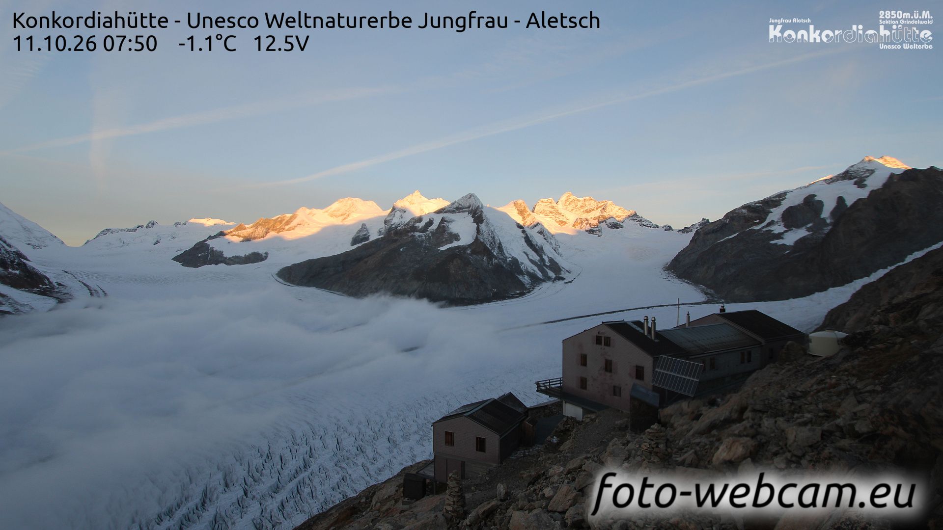 Fieschertal: Konkordiahütte - Trugberg - Gletscherhorn - Jungfraujoch - Hollandiahütte SAC - Ebnefluh - Jungfrau - Jungfrau Region