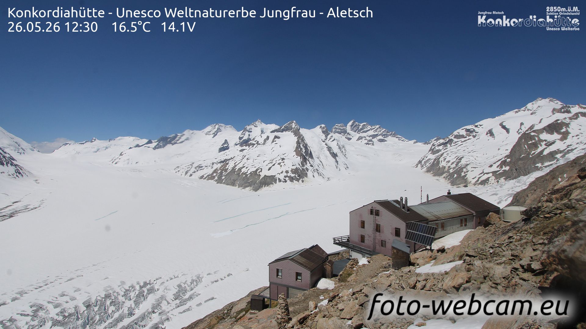 Fieschertal: Konkordiahütte - Trugberg - Gletscherhorn - Jungfraujoch - Hollandiahütte SAC - Ebnefluh - Jungfrau - Jungfrau Region