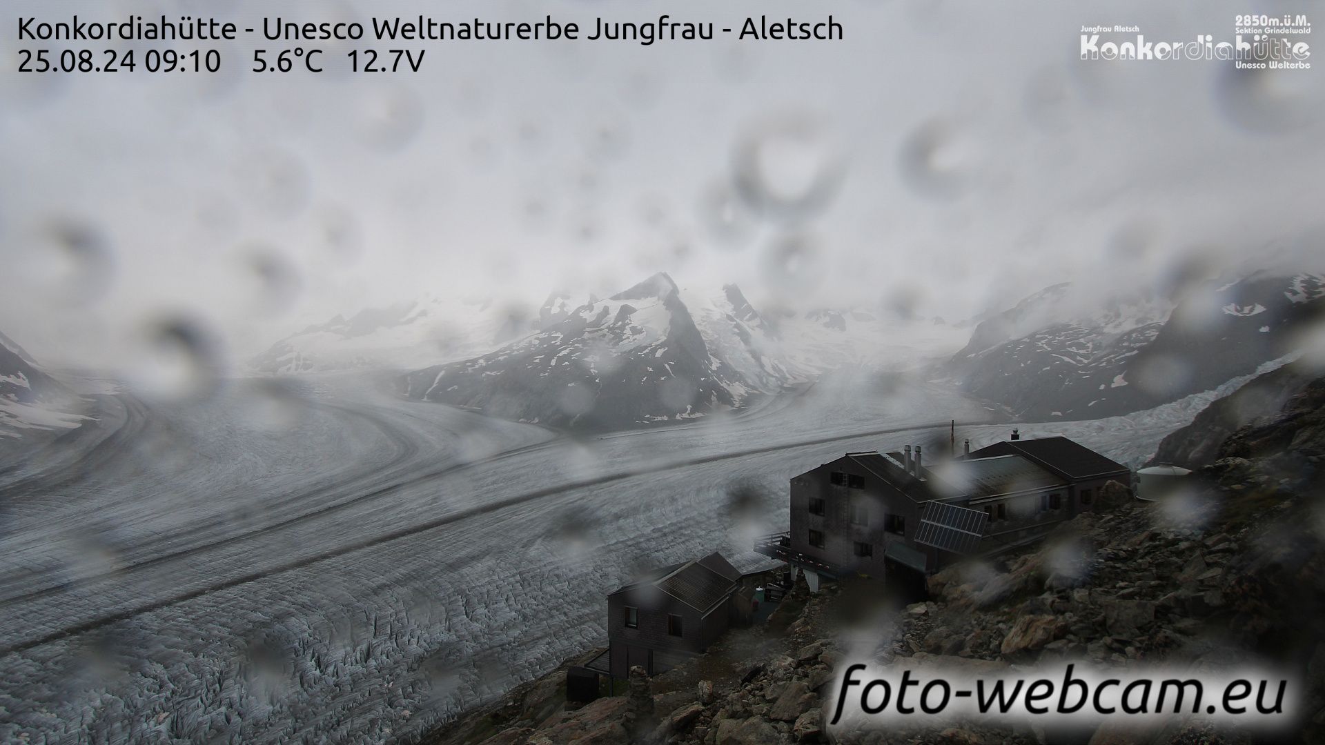 Fieschertal: Konkordiahütte - Trugberg - Gletscherhorn - Jungfraujoch - Hollandiahütte SAC - Ebnefluh - Jungfrau - Jungfrau Region