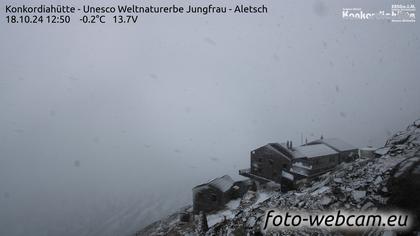 Fieschertal: Konkordiahütte - Trugberg - Gletscherhorn - Jungfraujoch - Hollandiahütte SAC - Ebnefluh - Jungfrau - Jungfrau Region