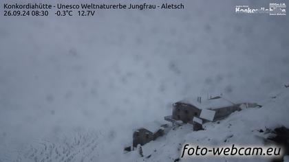 Fieschertal: Konkordiahütte - Trugberg - Gletscherhorn - Jungfraujoch - Hollandiahütte SAC - Ebnefluh - Jungfrau - Jungfrau Region