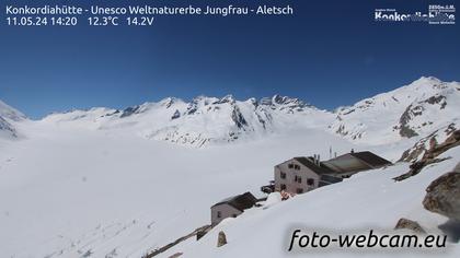 Fieschertal: Konkordiahütte - Trugberg - Gletscherhorn - Jungfraujoch - Hollandiahütte SAC - Ebnefluh - Jungfrau - Jungfrau Region