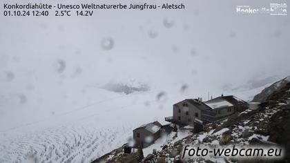 Fieschertal: Konkordiahütte - Trugberg - Gletscherhorn - Jungfraujoch - Hollandiahütte SAC - Ebnefluh - Jungfrau - Jungfrau Region