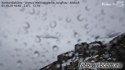 Fieschertal: Konkordiahütte - Trugberg - Gletscherhorn - Jungfraujoch - Hollandiahütte SAC - Ebnefluh - Jungfrau - Jungfrau Region