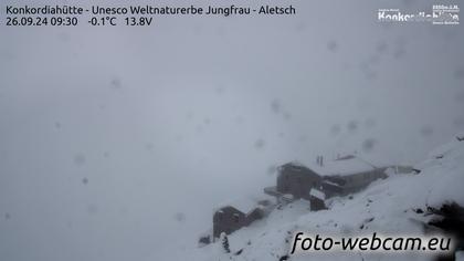 Fieschertal: Konkordiahütte - Trugberg - Gletscherhorn - Jungfraujoch - Hollandiahütte SAC - Ebnefluh - Jungfrau - Jungfrau Region