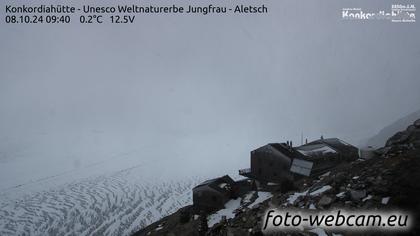 Fieschertal: Konkordiahütte - Trugberg - Gletscherhorn - Jungfraujoch - Hollandiahütte SAC - Ebnefluh - Jungfrau - Jungfrau Region