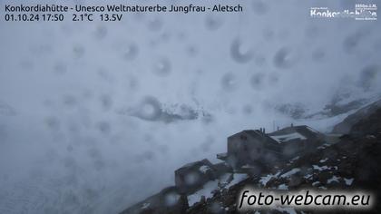 Fieschertal: Konkordiahütte - Trugberg - Gletscherhorn - Jungfraujoch - Hollandiahütte SAC - Ebnefluh - Jungfrau - Jungfrau Region