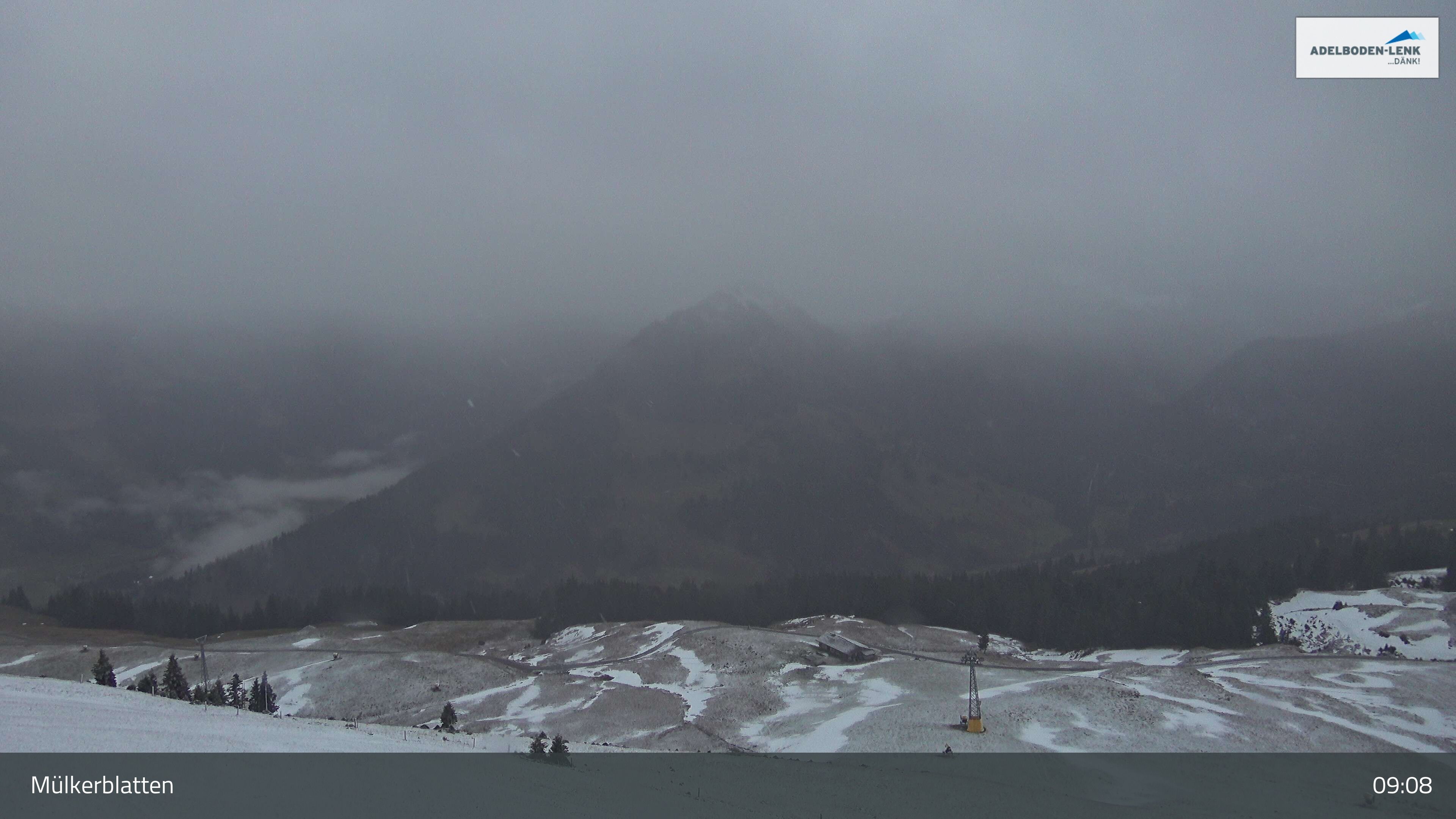 Lenk: im Simmental - Mülkerblatten, Wildstrubel