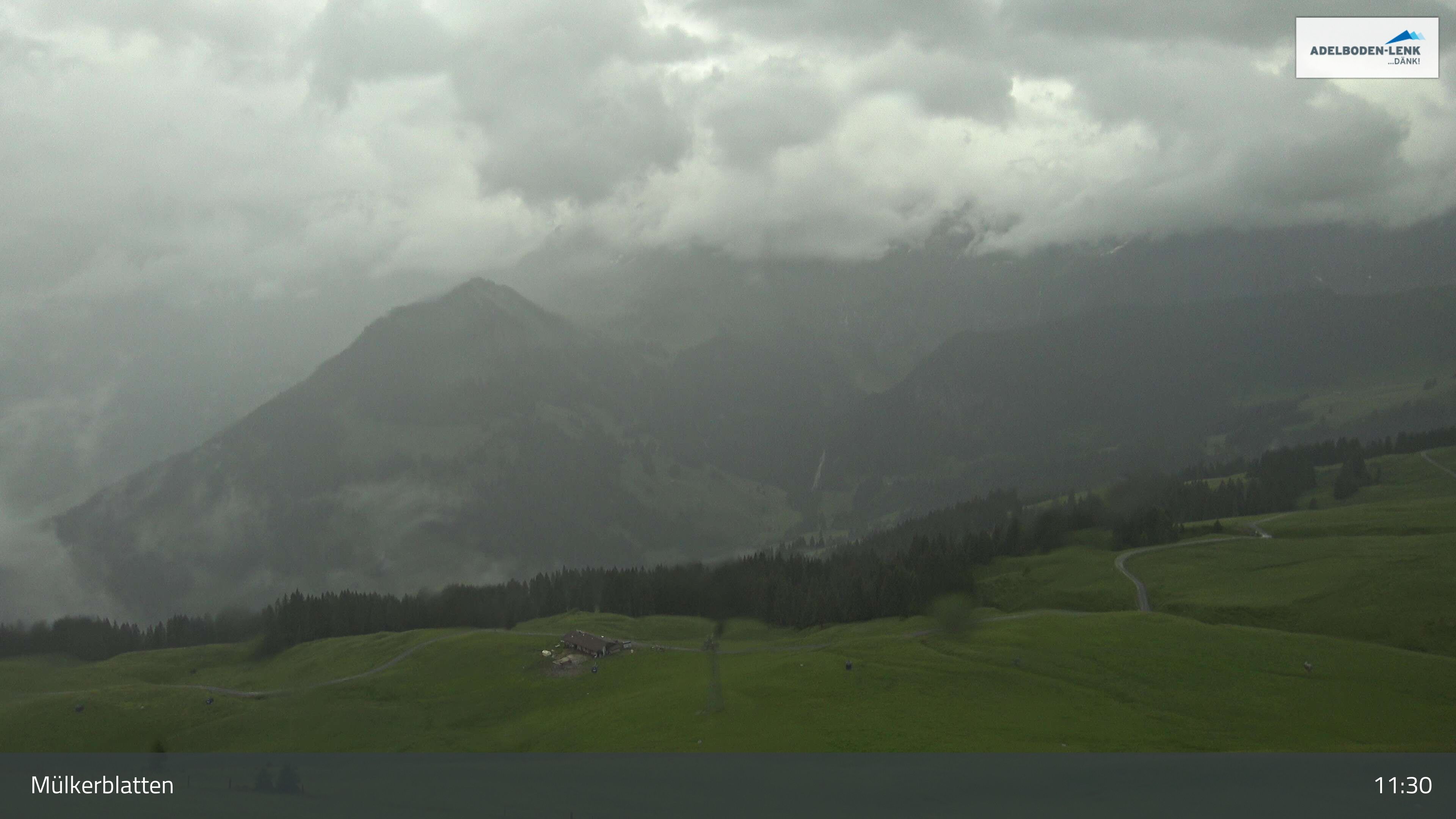 Lenk: im Simmental - Mülkerblatten, Wildstrubel