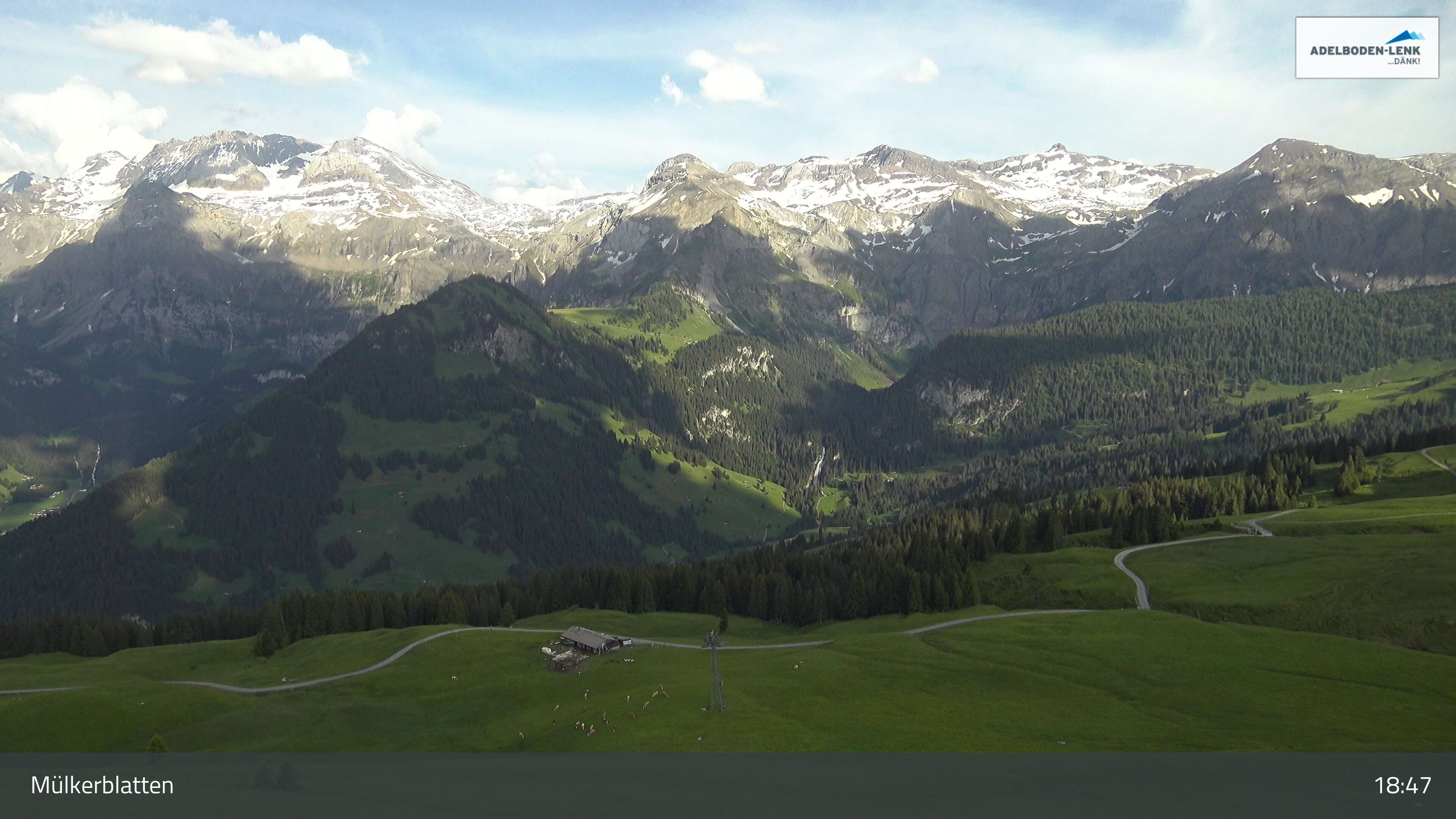 Lenk: im Simmental - Mülkerblatten, Wildstrubel