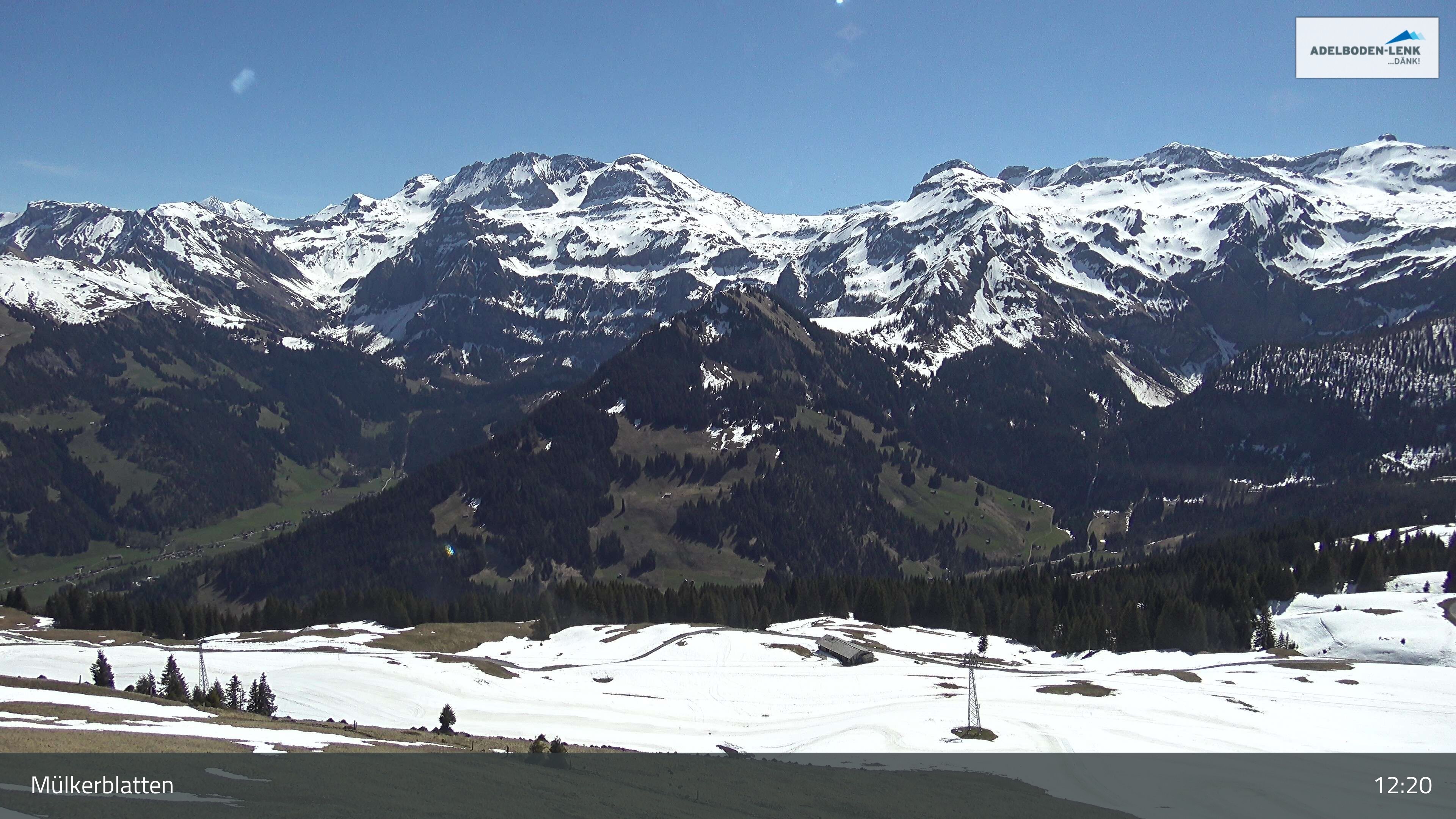 Lenk: im Simmental - Mülkerblatten, Wildstrubel