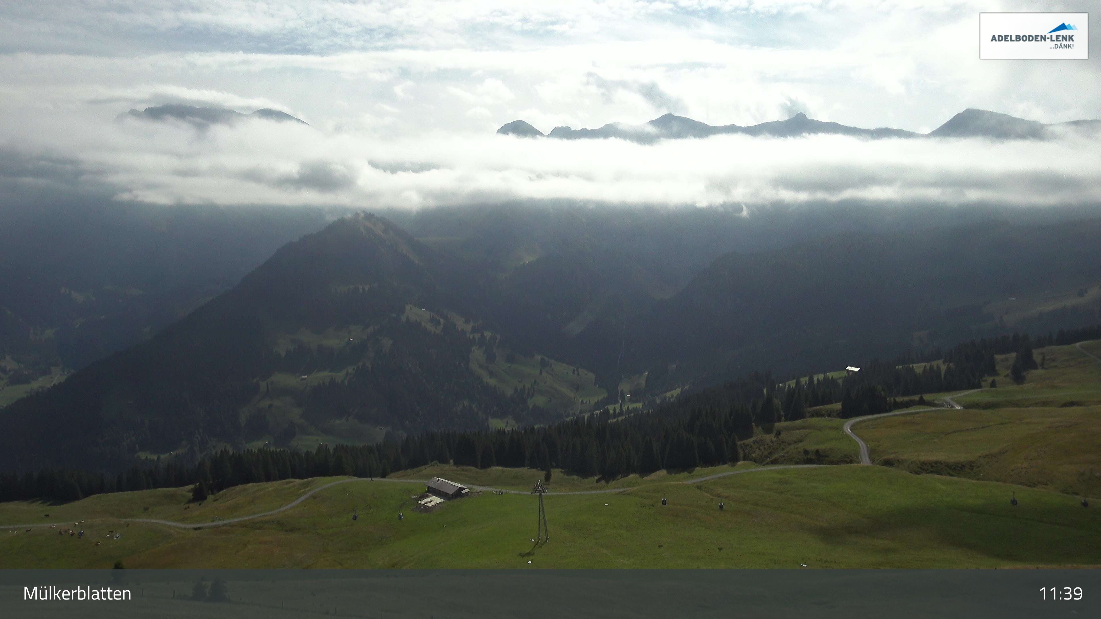 Lenk: im Simmental - Mülkerblatten, Leiterli