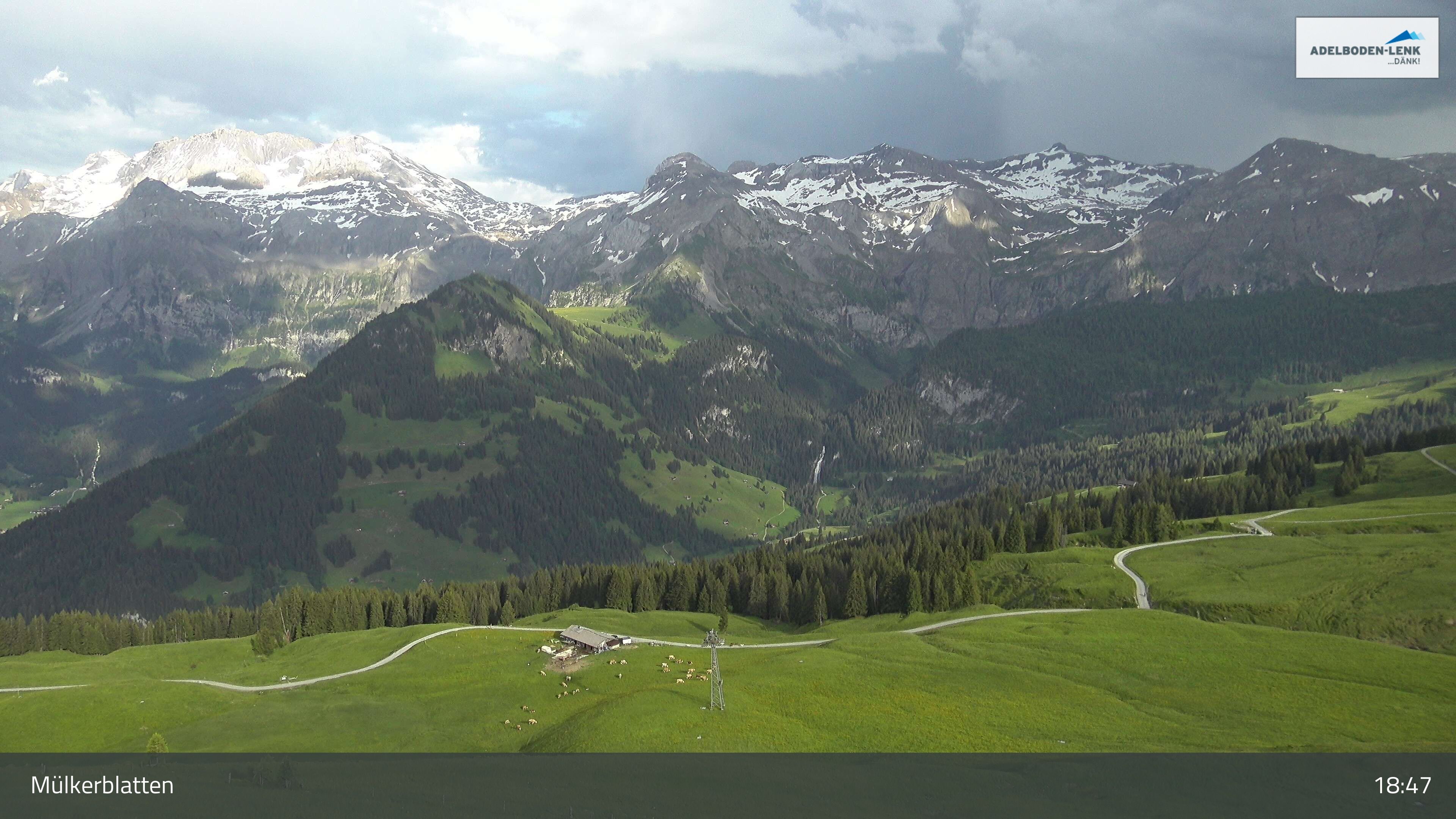Lenk: im Simmental - Mülkerblatten, Wildstrubel