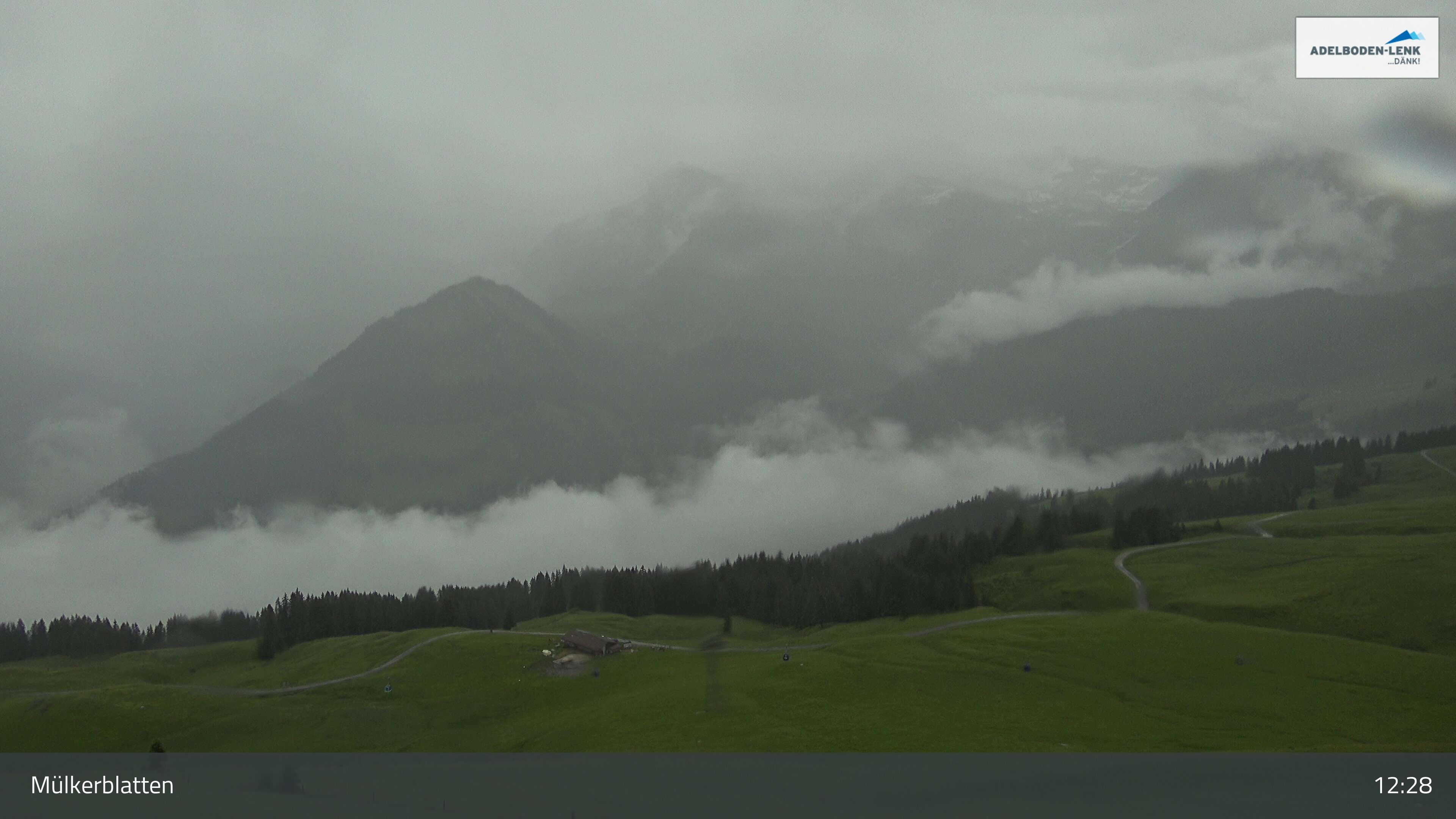 Lenk: im Simmental - Mülkerblatten, Wildstrubel