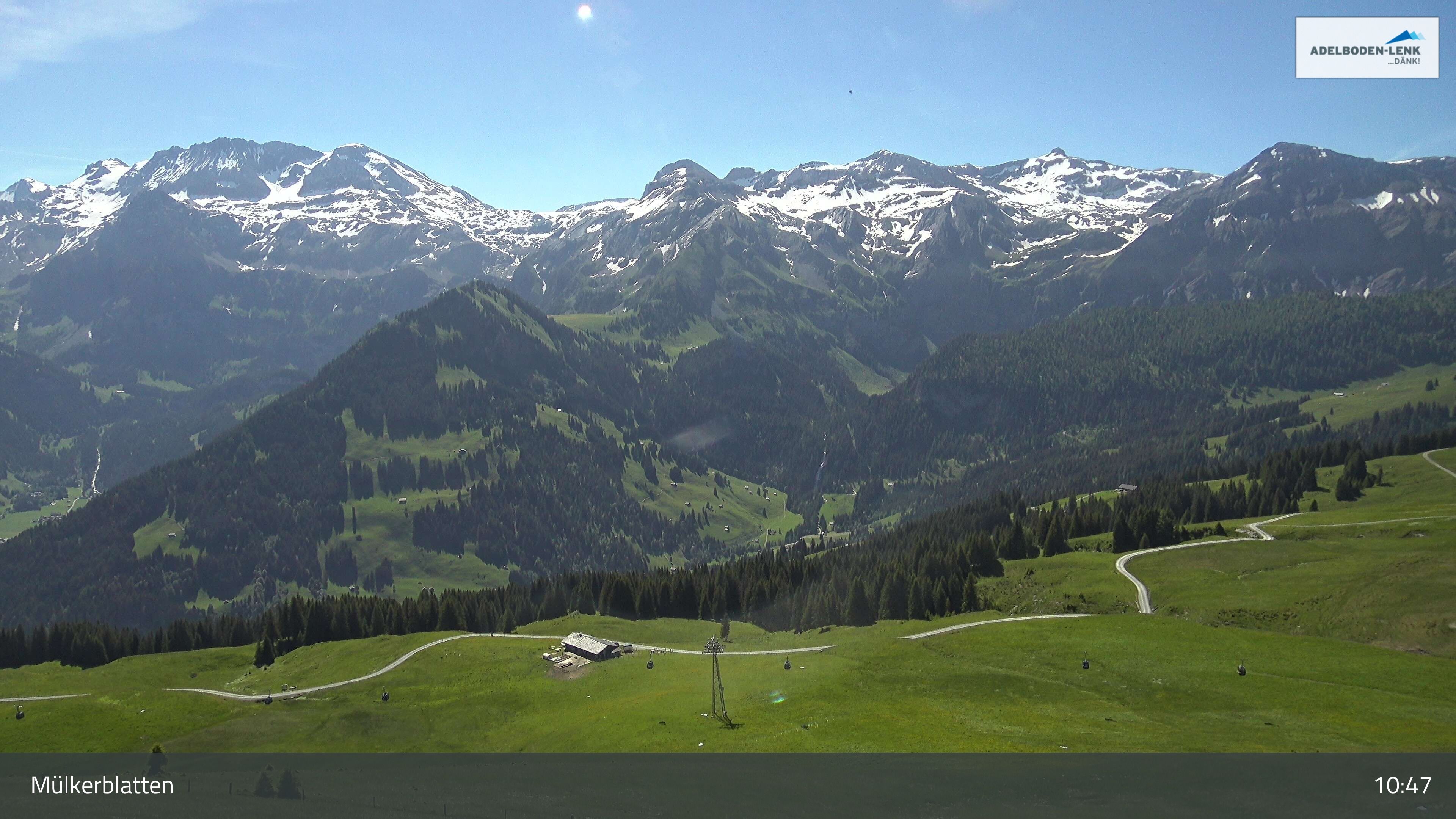 Lenk: im Simmental - Mülkerblatten, Wildstrubel
