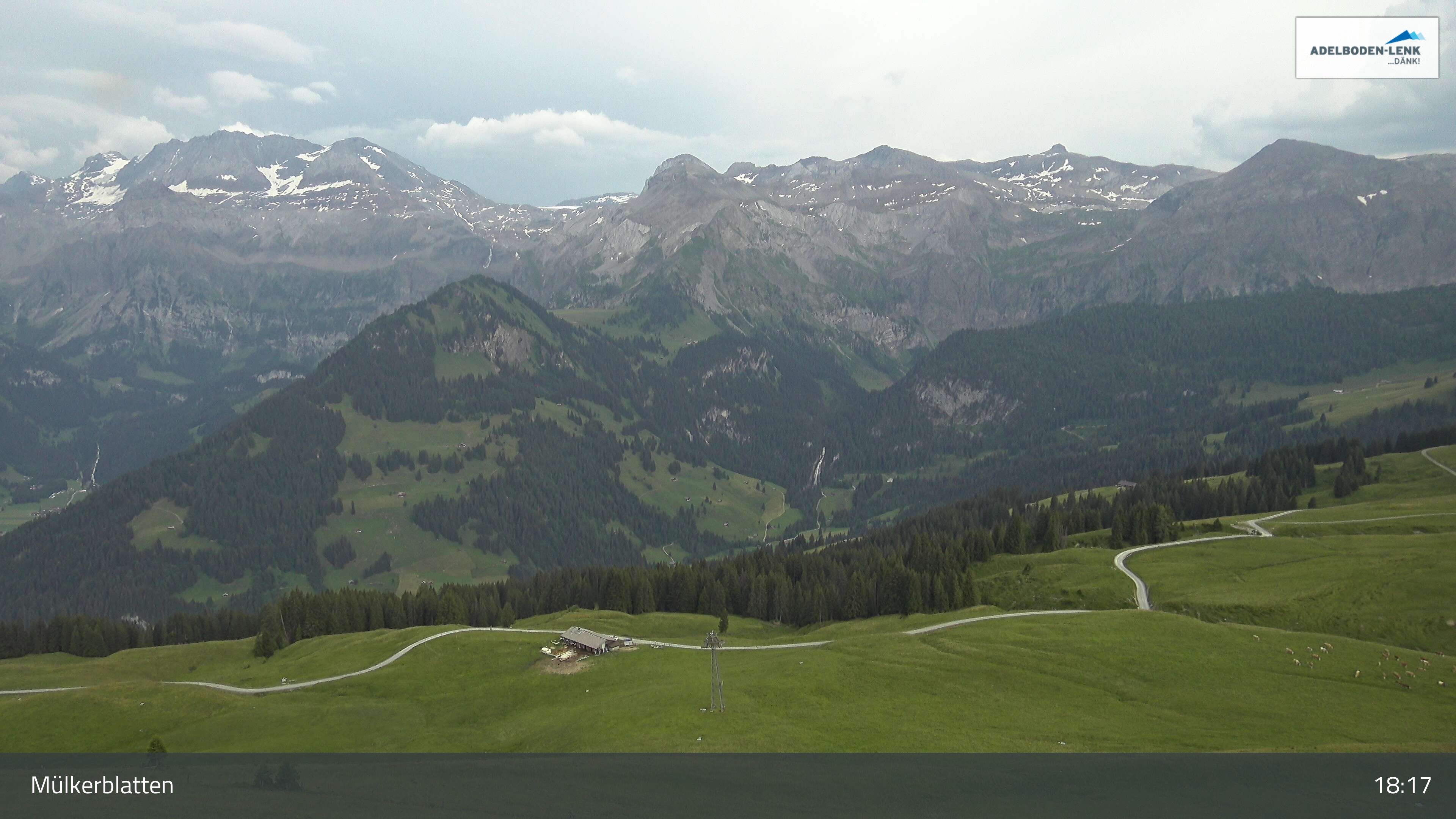 Lenk: im Simmental - Mülkerblatten, Wildstrubel