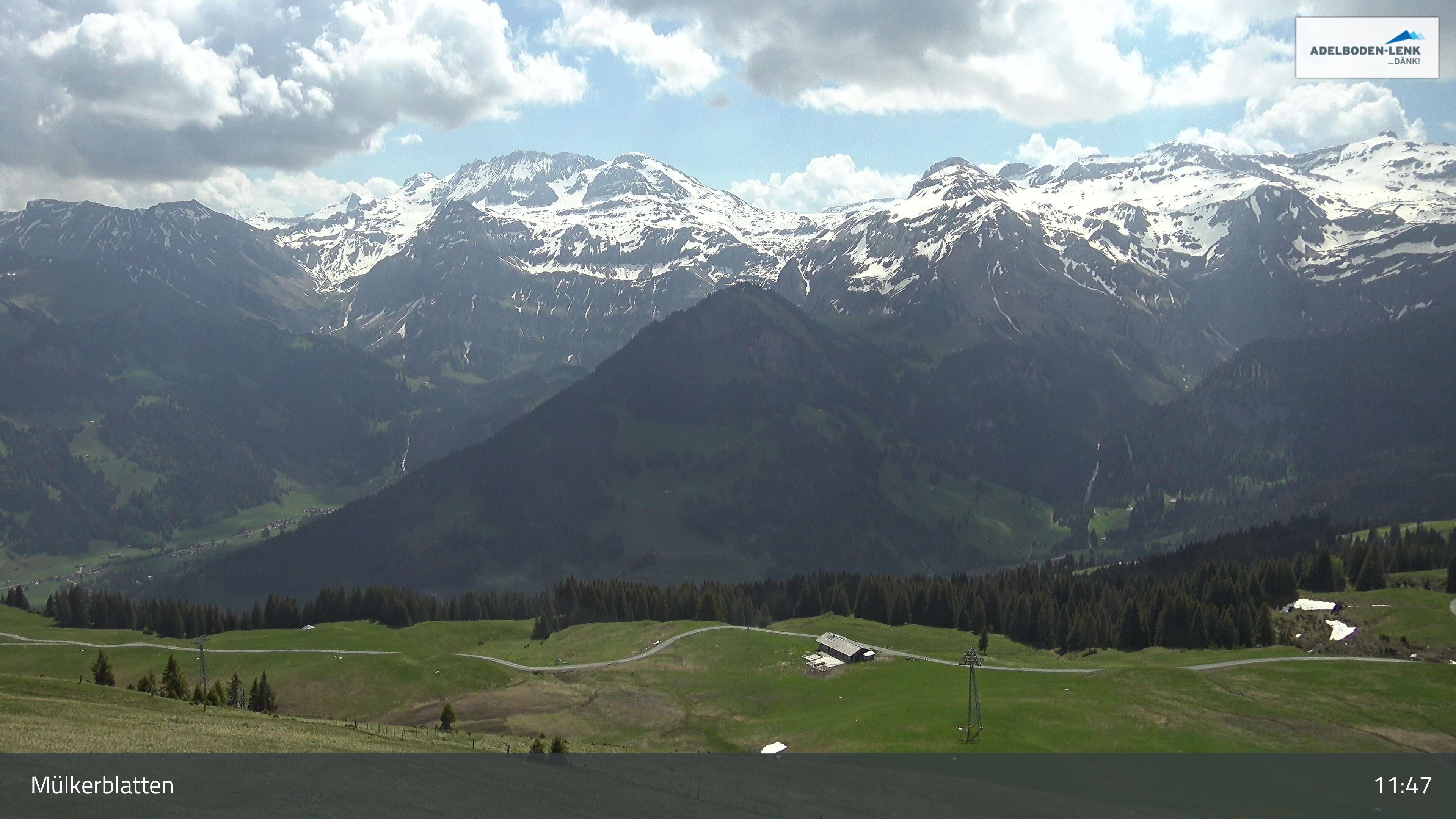 Lenk: im Simmental - Mülkerblatten, Wildstrubel