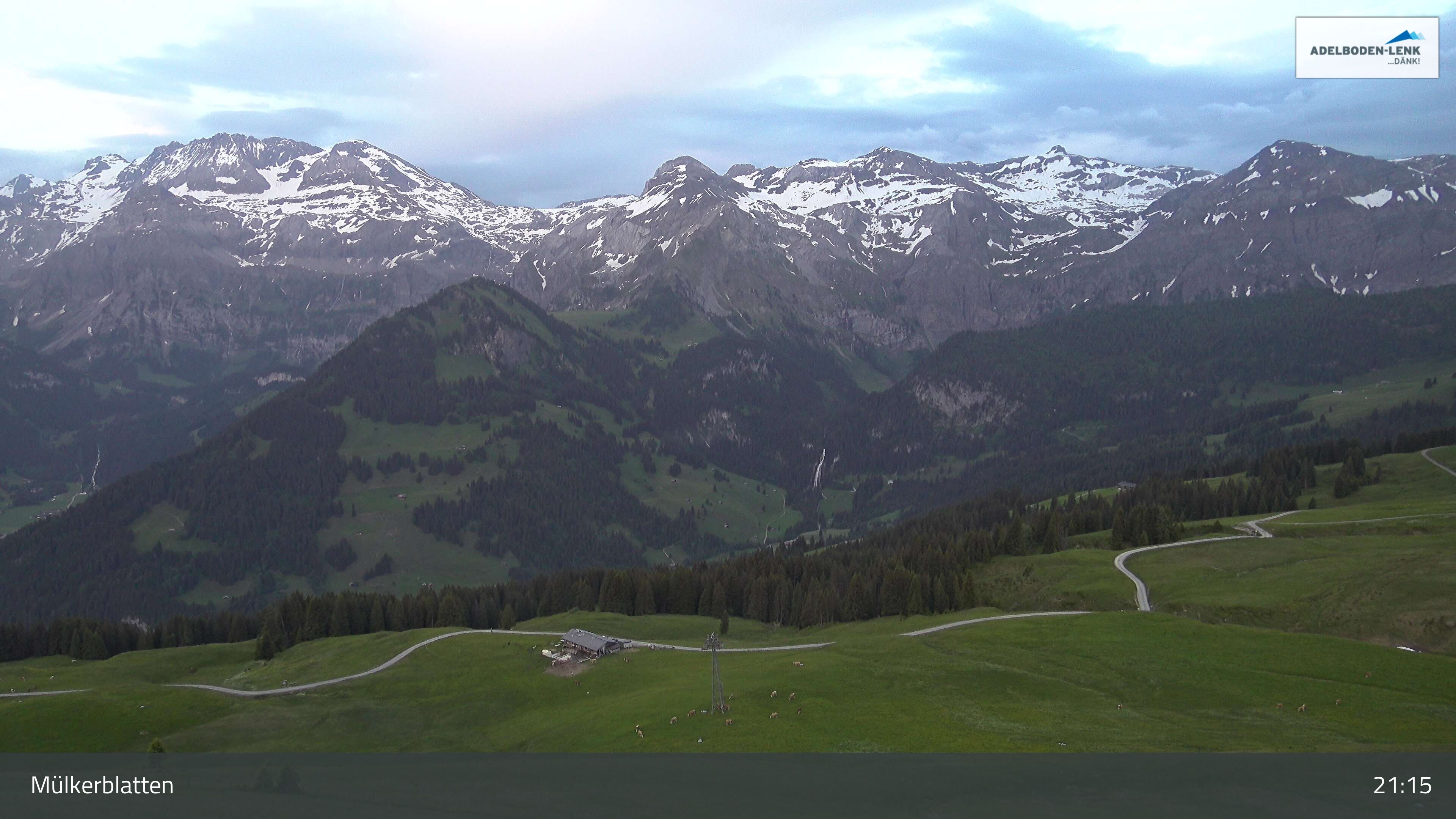 Lenk: im Simmental - Mülkerblatten, Wildstrubel