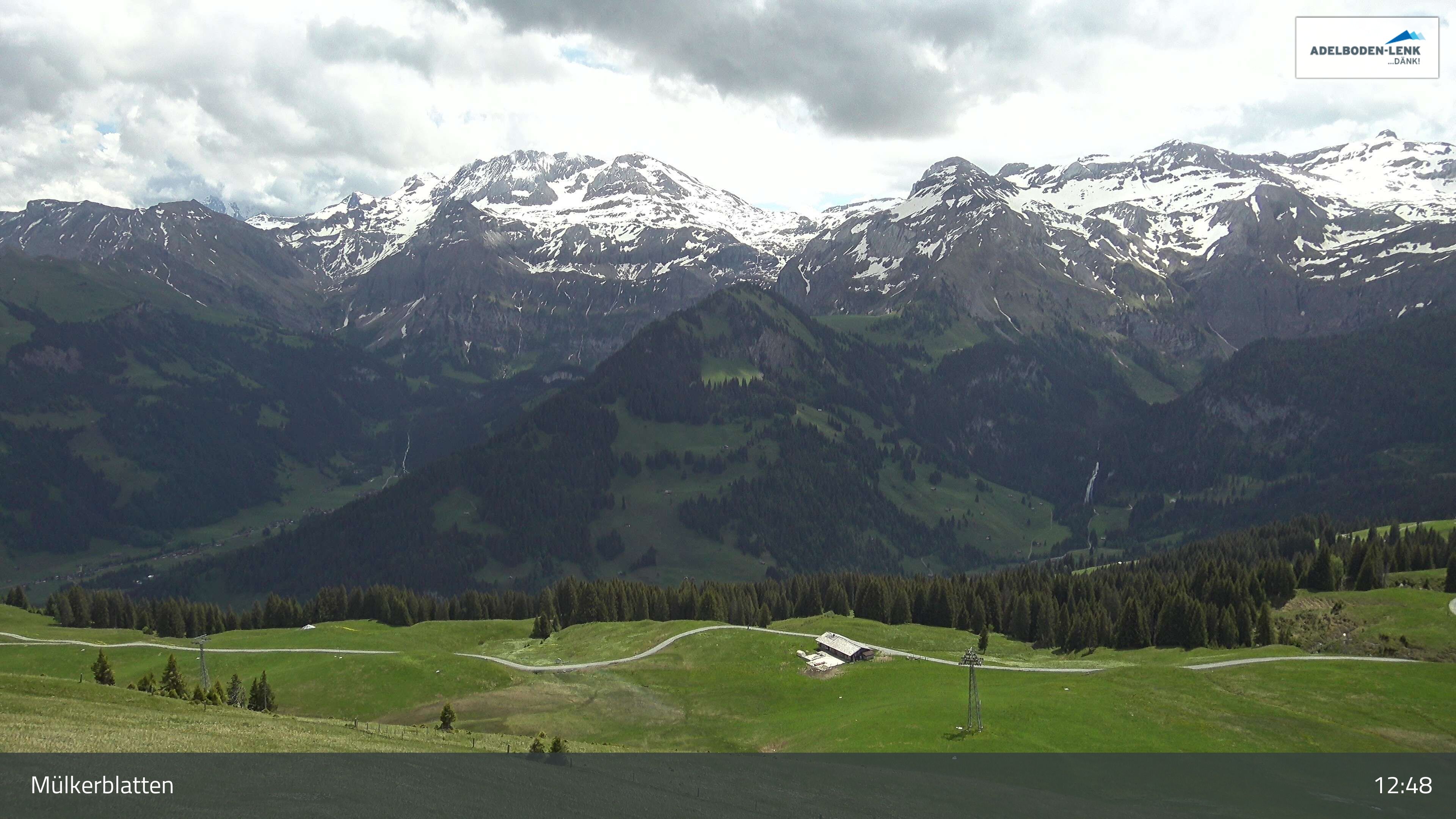 Lenk: im Simmental - Mülkerblatten, Wildstrubel