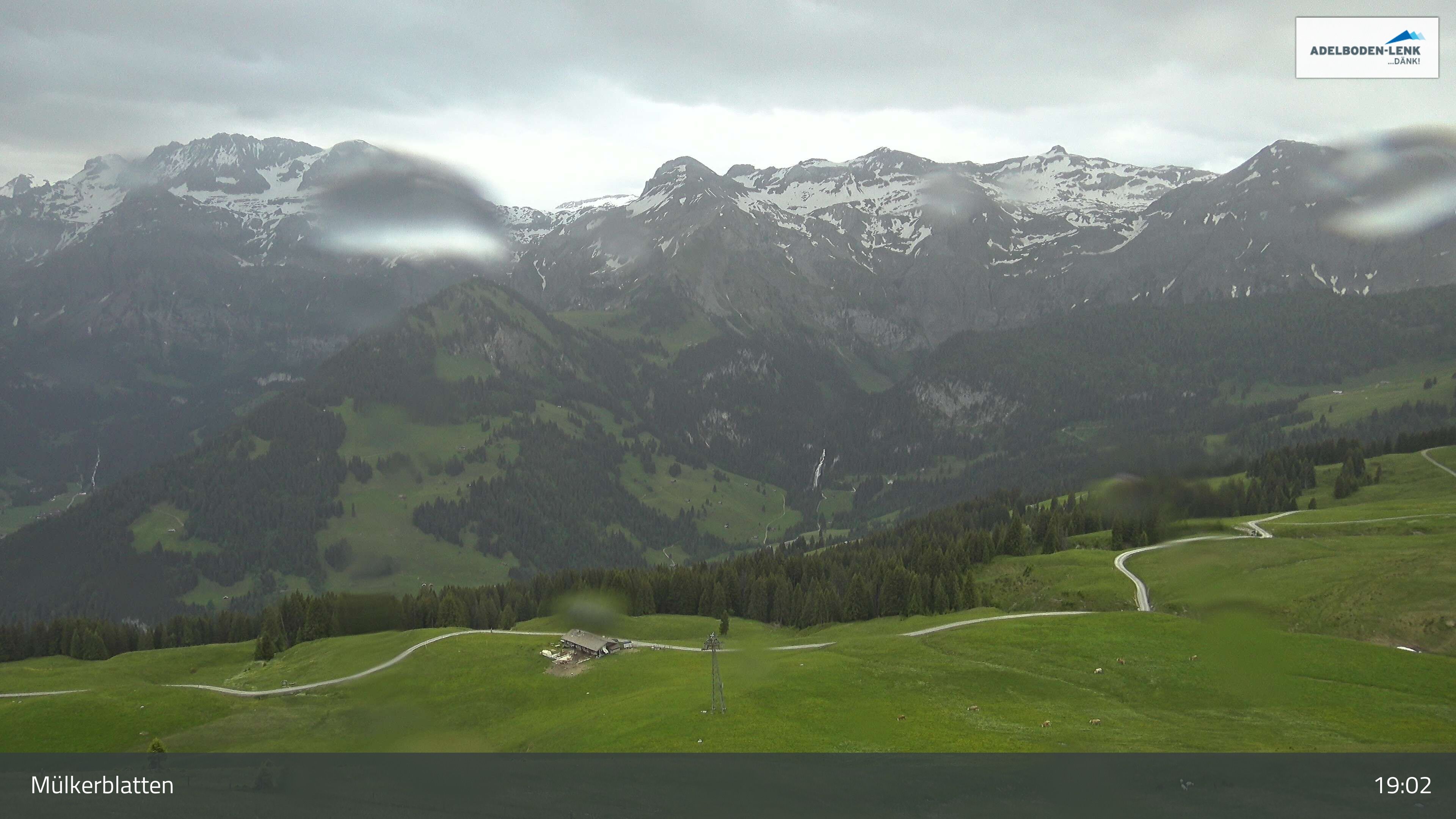 Lenk: im Simmental - Mülkerblatten, Wildstrubel