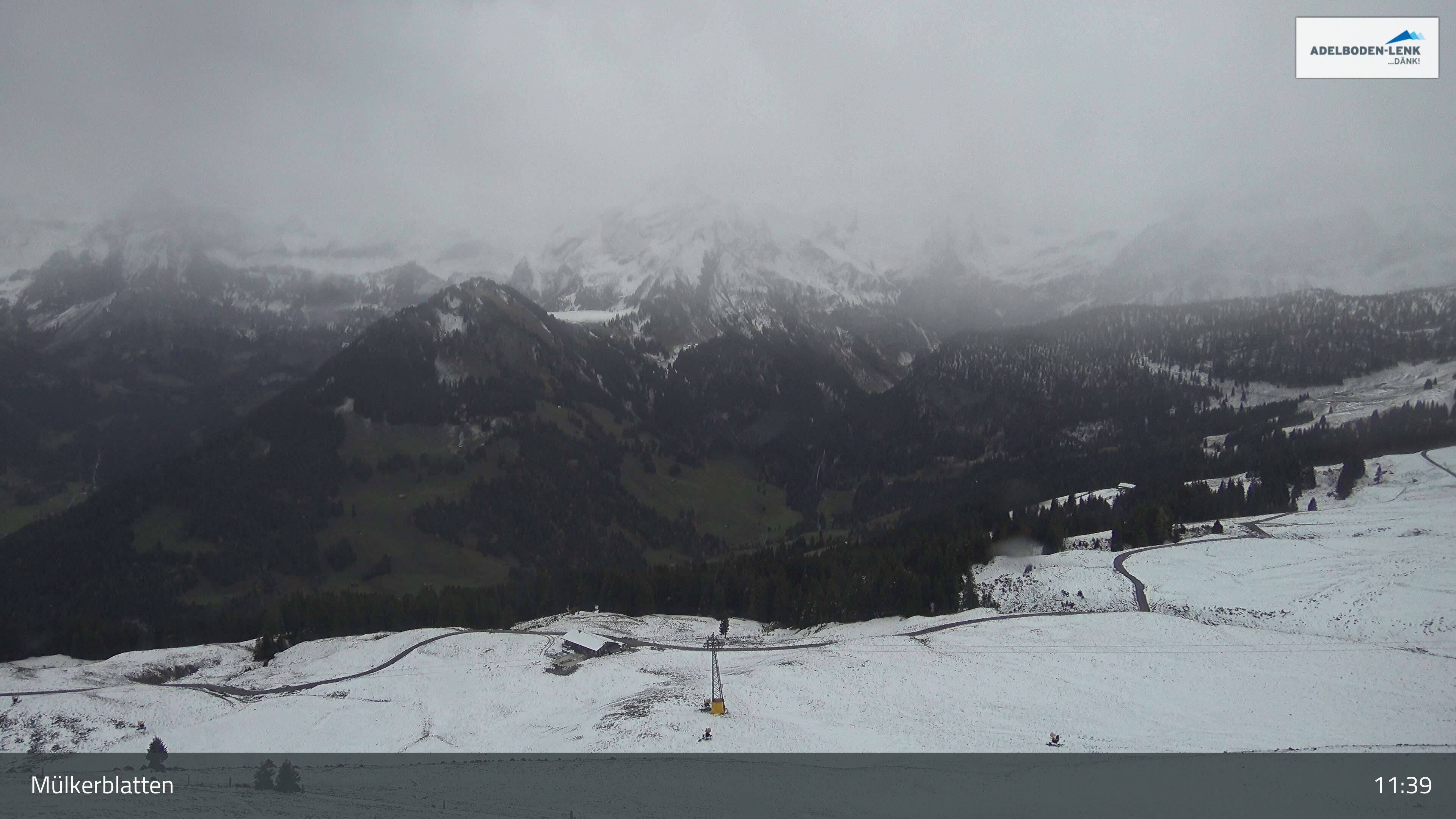 Lenk: im Simmental - Mülkerblatten, Wildstrubel