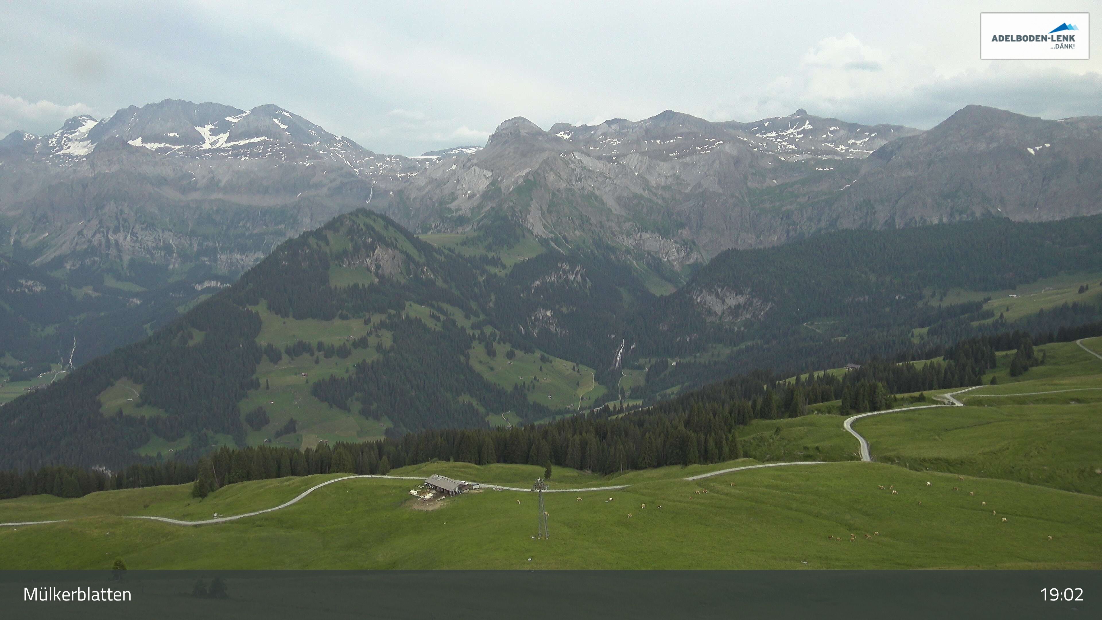 Lenk: im Simmental - Mülkerblatten, Wildstrubel