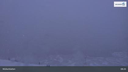 Lenk: im Simmental - Mülkerblatten, Wildstrubel