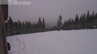 Leadville: Cooper Hill Ski Area