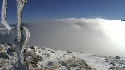 Te Anau today