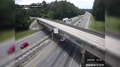 Tacoma Traffic at Wacahoota