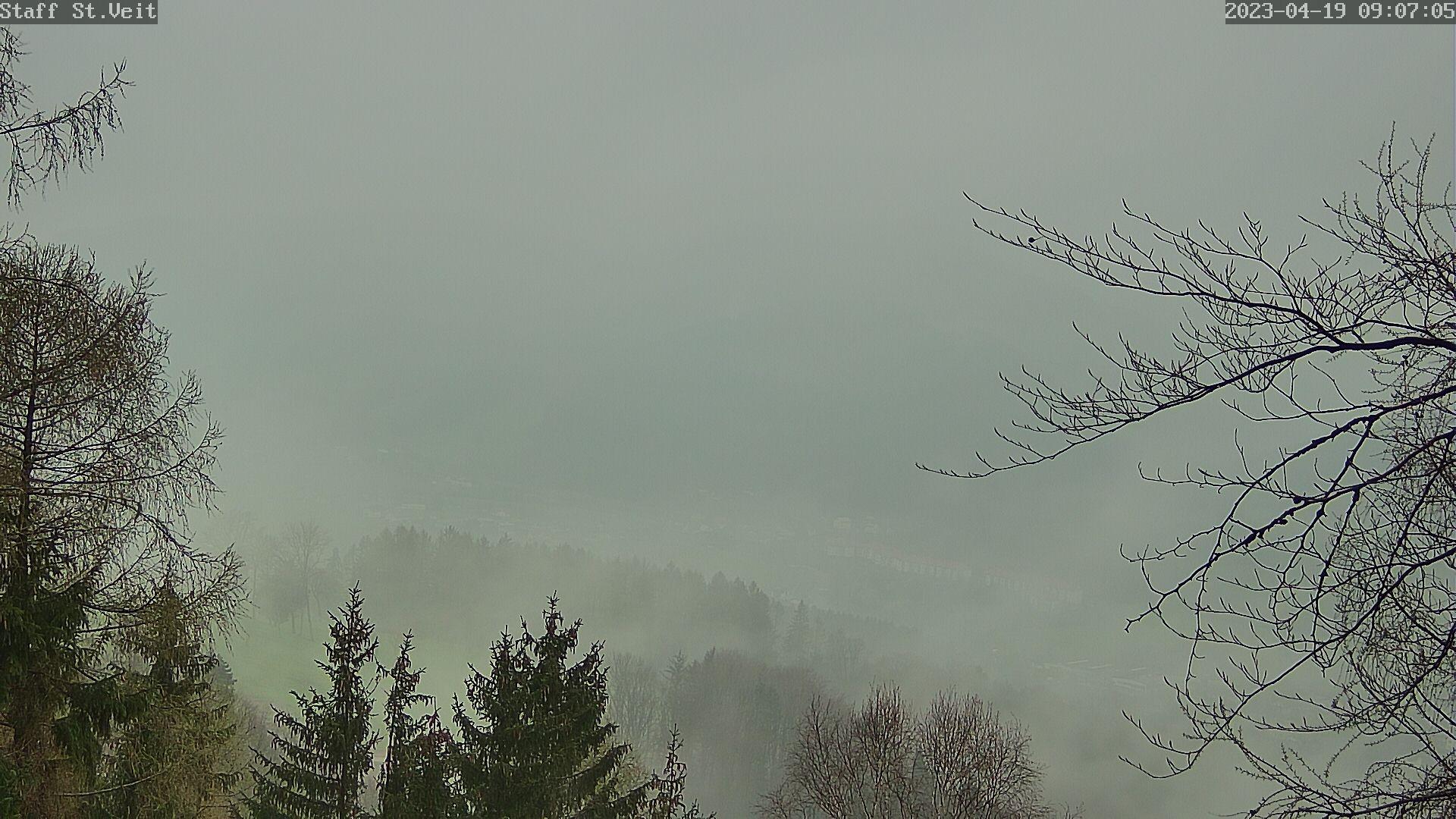 Gemeinde St. Veit an der Golsen: Naturfreunde OG St.Veit/Gölsen, Staffhütte, Außer-Wiesenbach