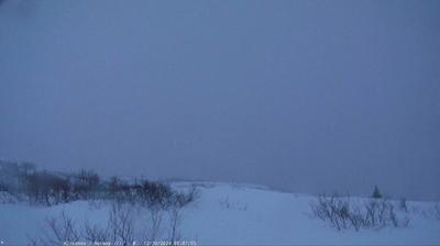 Kirkenes: Landscape & Weather View